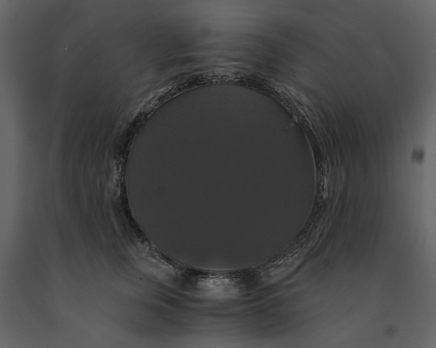 X0000091080759200708271236