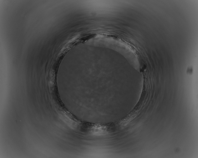 X0000091080760200708271236