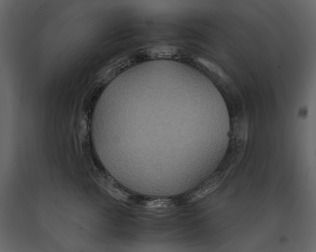 X0000091080761200708271236