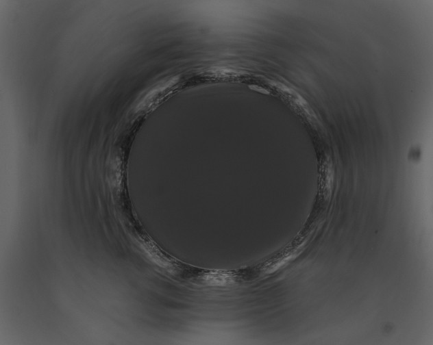 X0000091080762200708271236