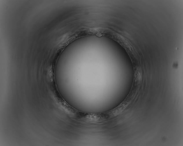 X0000091080764200708271236