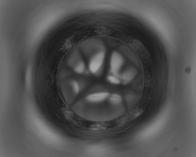 X0000091080765200708271236