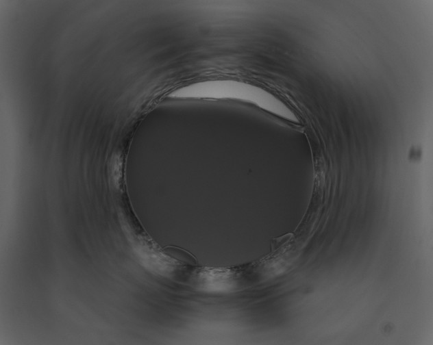 X0000091080767200708271236