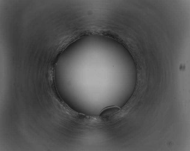 X0000091080768200708271236