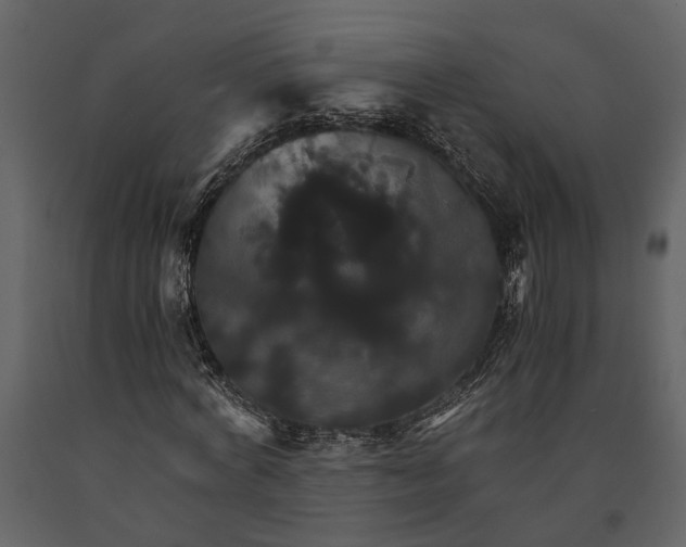 X0000091080772200708271235