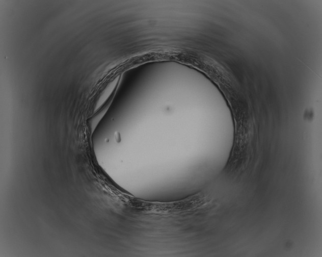 X0000091080773200708271235