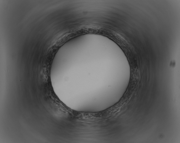 X0000091080774200708271235