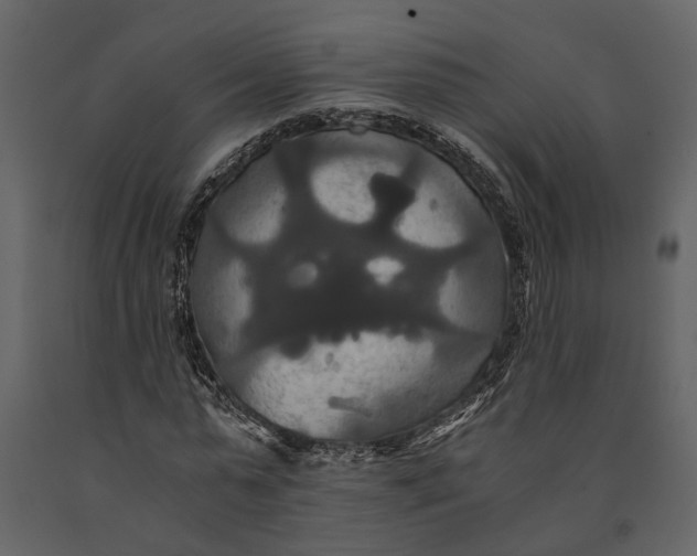 X0000091080775200708271235