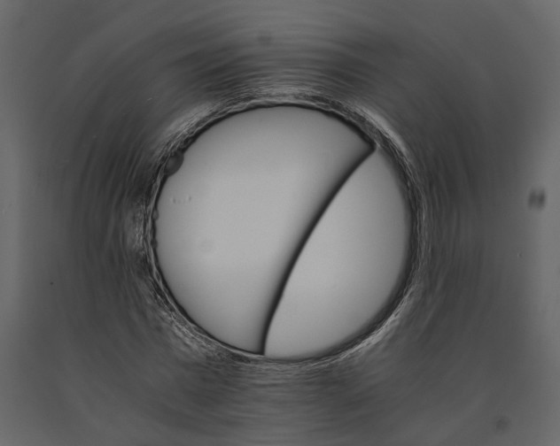 X0000091080777200708271235