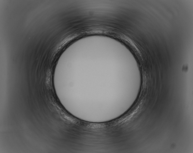 X0000091080778200708271235