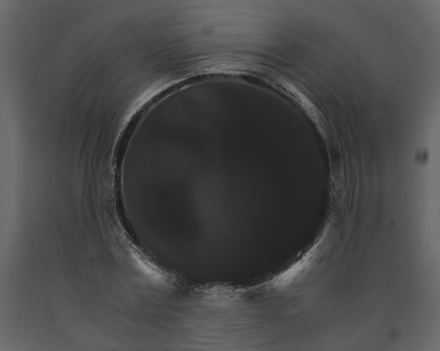 X0000091080779200708271235