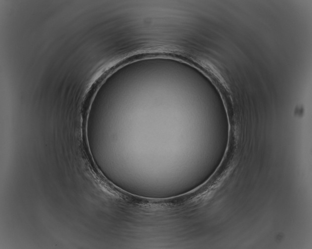 X0000091080781200708271235