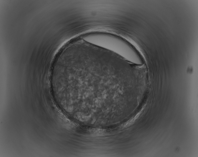 X0000091080783200708271235