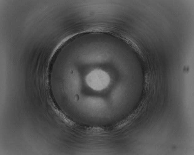 X0000091080784200708271235