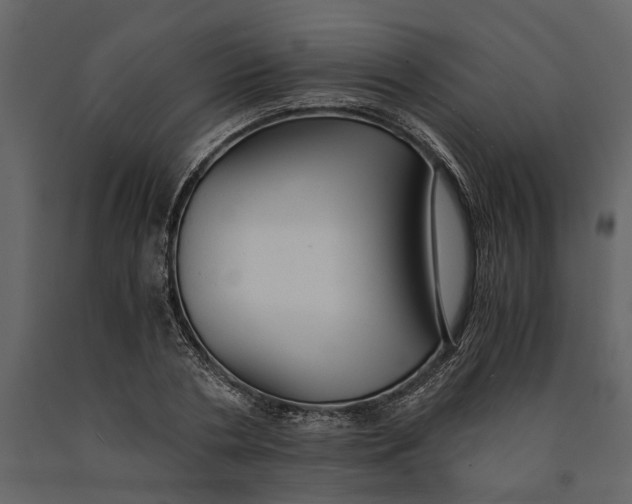 X0000091080786200708271235