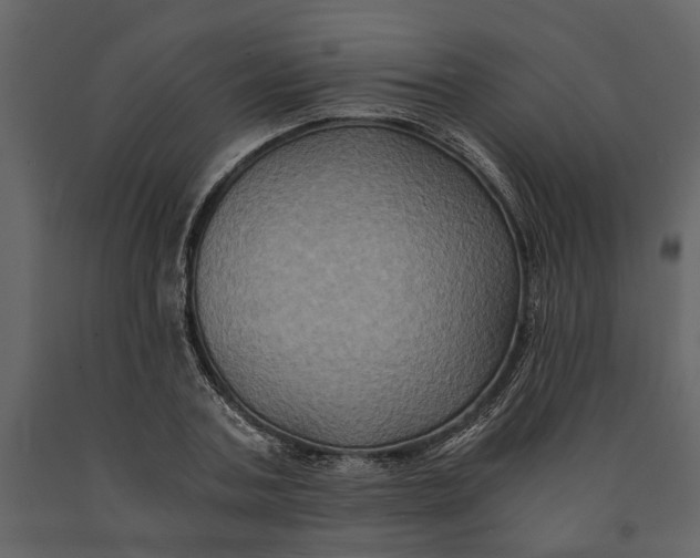 X0000091080787200708271235