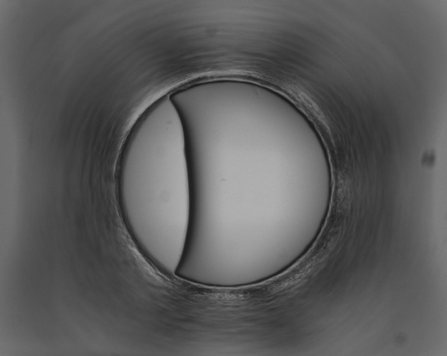 X0000091080789200708271235