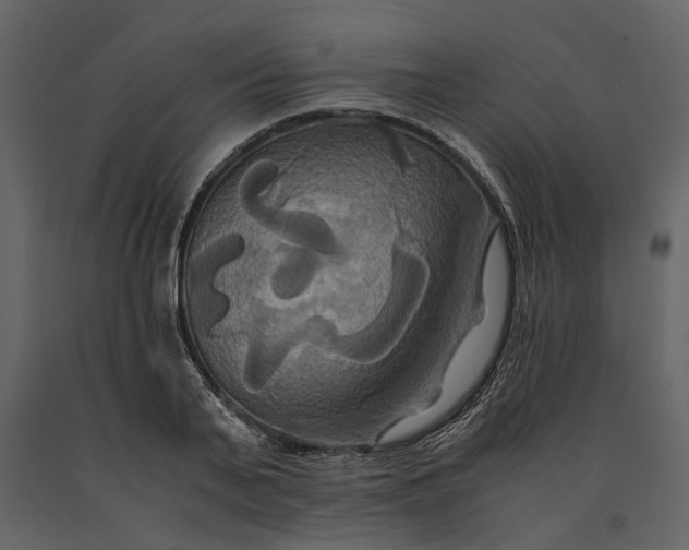 X0000091080791200708271235