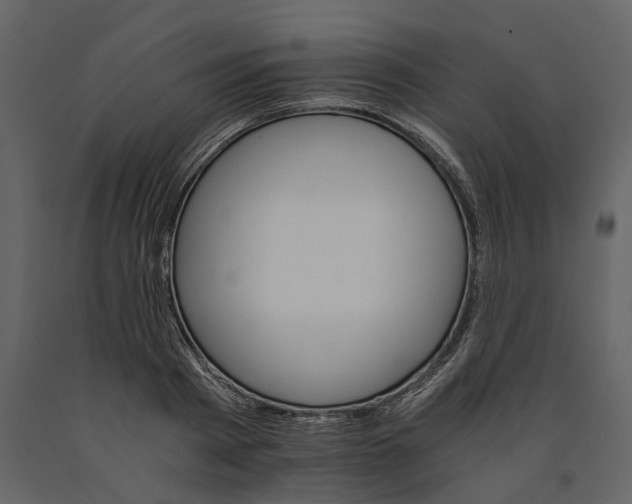 X0000091080793200708271235