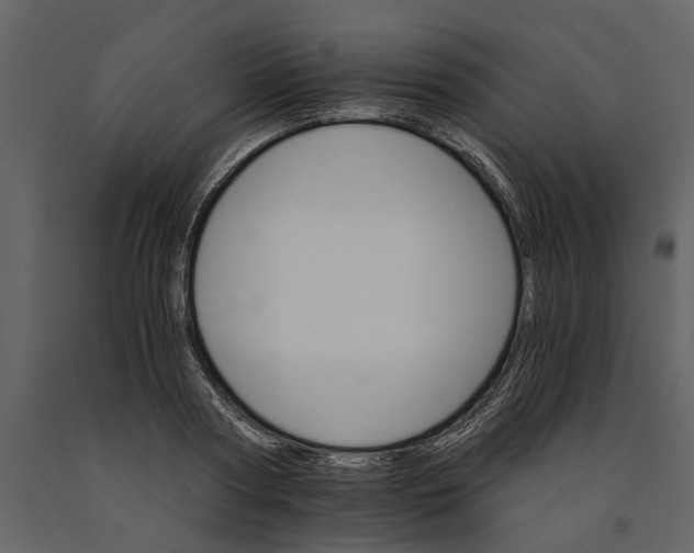 X0000091080794200708271235