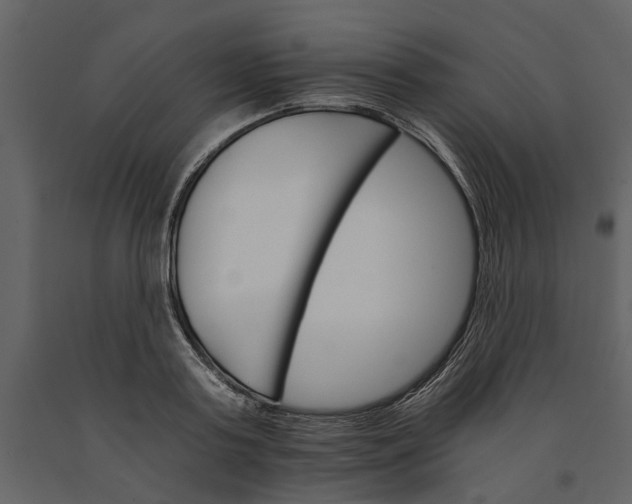 X0000091080795200708271235