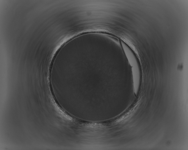 X0000091080797200708271235