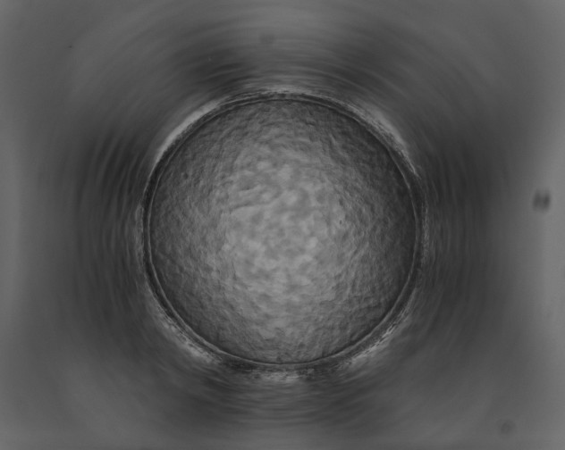 X0000091080798200708271235