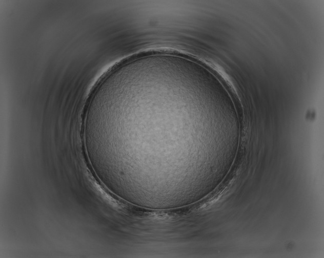 X0000091080799200708271235