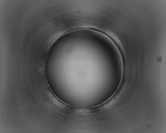 X0000091080801200708271235