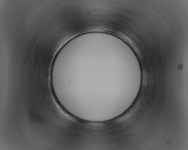 X0000091080802200708271235