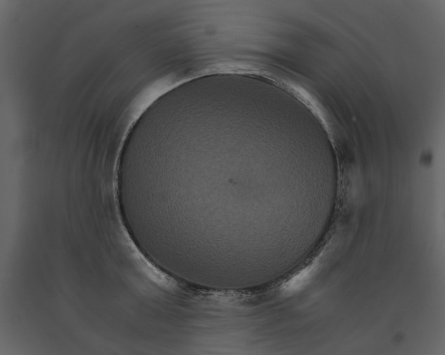 X0000091080803200708271235