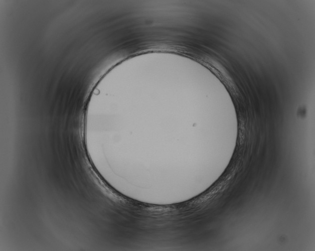 X0000091080804200708271235