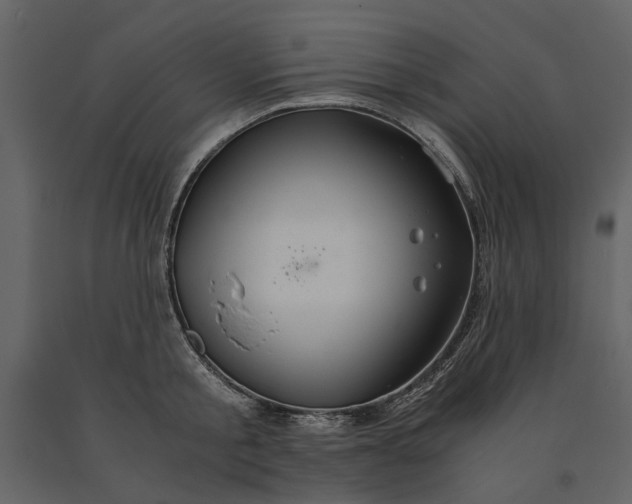 X0000091080805200708271235