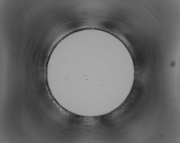 X0000091080807200708271235