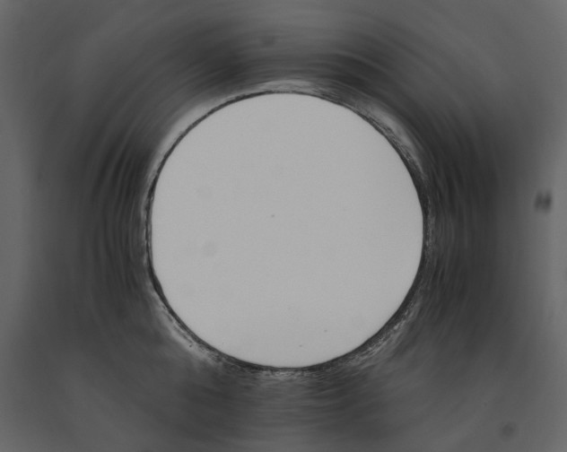 X0000091080808200708271235