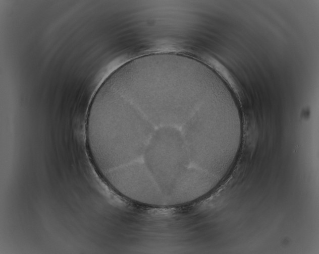 X0000091080810200708271235