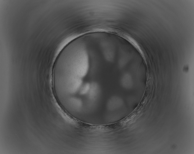 X0000091080811200708271235