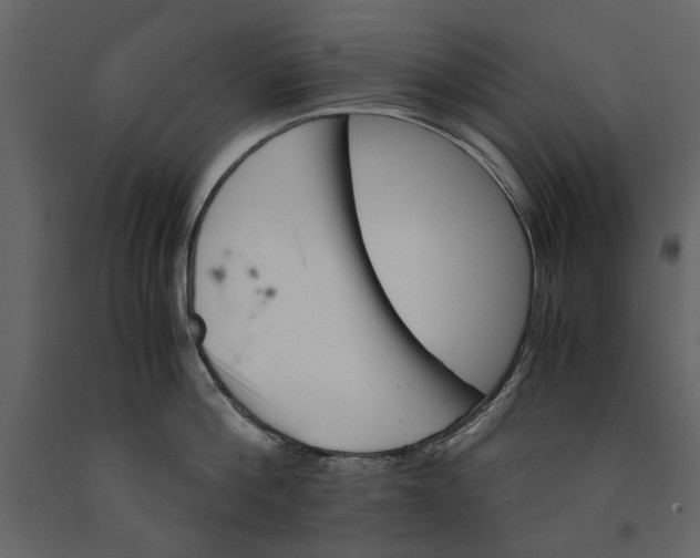 X0000091080812200708271235