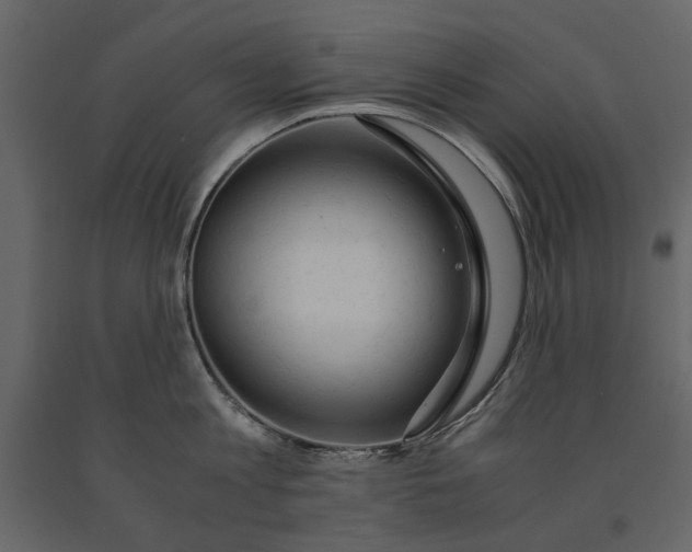 X0000091080813200708271235