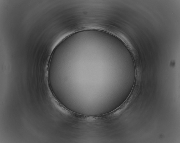 X0000091080814200708271235