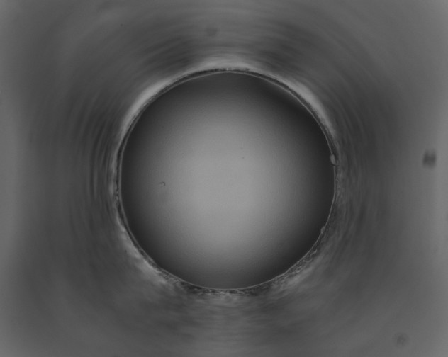 X0000091080815200708271235