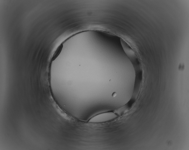 X0000091080816200708271235