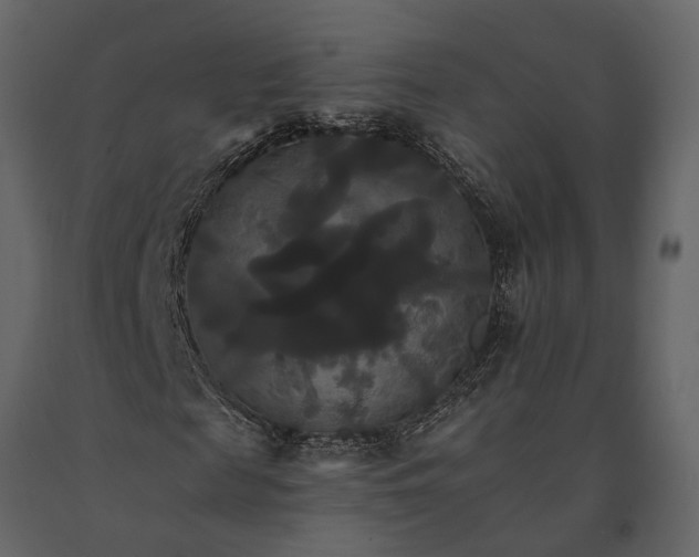 X0000091080817200708271234