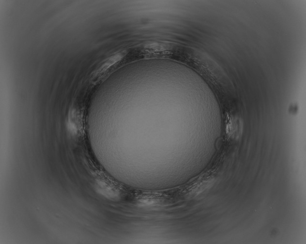 X0000091080819200708271234