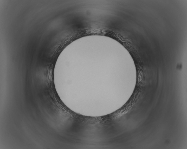 X0000091080820200708271234