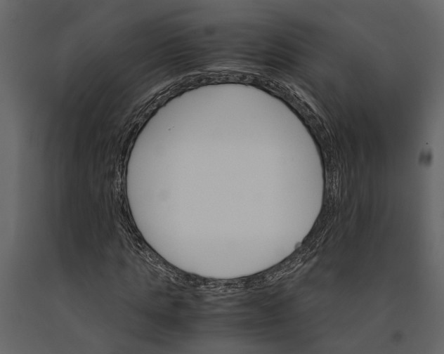 X0000091080821200708271234