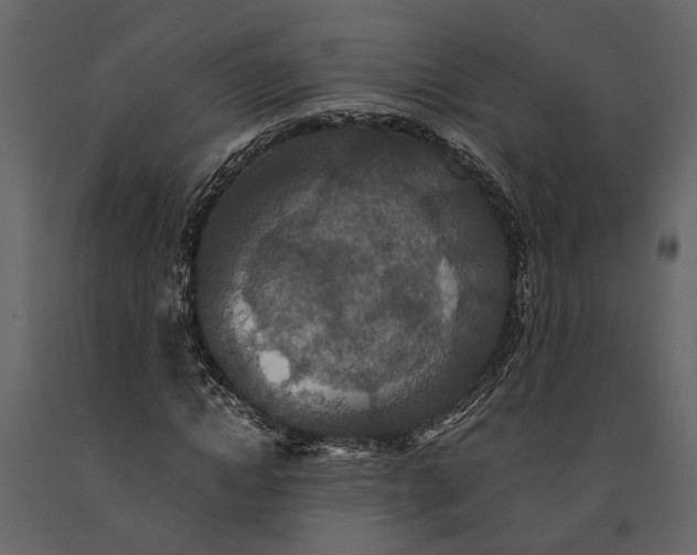 X0000091080822200708271234