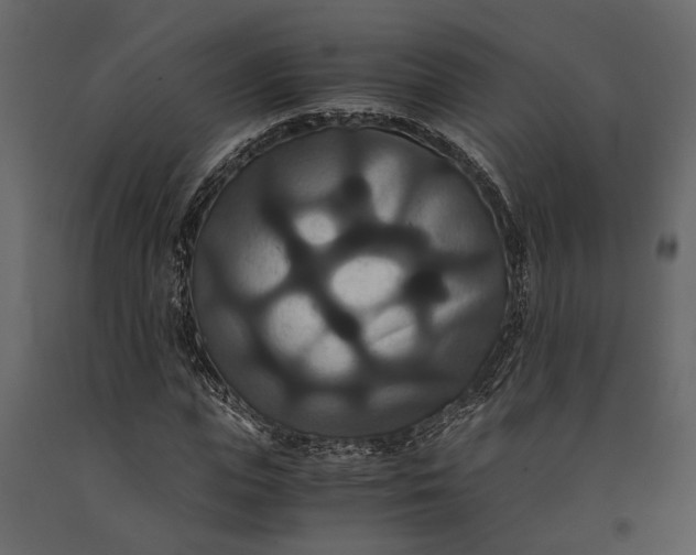 X0000091080823200708271234