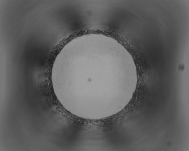 X0000091080824200708271234