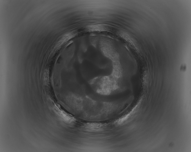 X0000091080825200708271234